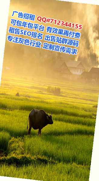 文峰卵源培训公司